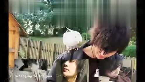 阿摩司 腾讯视频