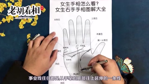 女生手相怎么看 女生右手手相图解大全 老胡看相 老胡看手相 腾讯视频