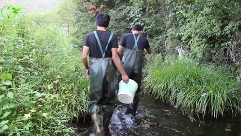 水草缸造景视频 腾讯视频