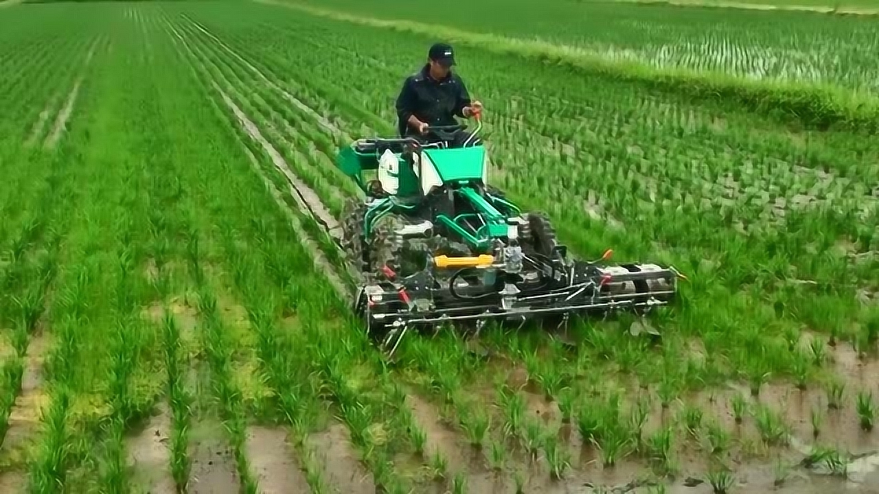 日本水田除草机,展示除草能力