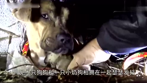 腾讯视频