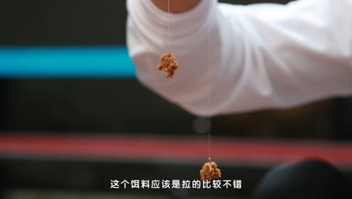 配式建筑比例 腾讯视频