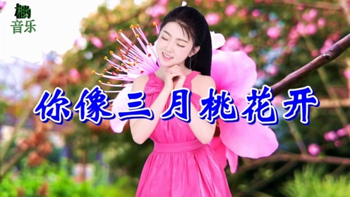一首情歌《你像三月桃花开》歌声深情动人,醉人心扉,好听醉人!