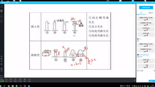 高中生物必修三《稳态与环境》3.2 生长素的生理作用