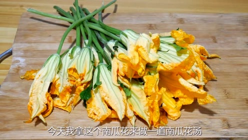 南瓜花 腾讯视频