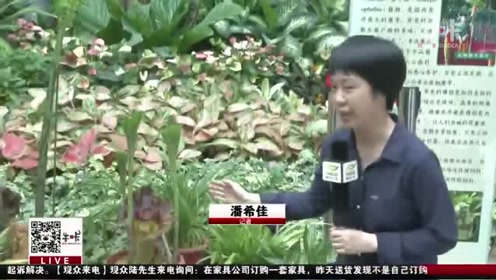 腾讯视频