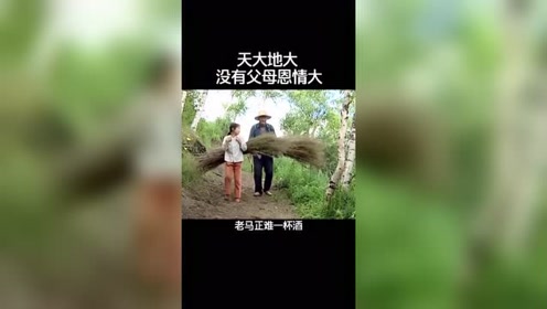 树欲静而风不止 腾讯视频