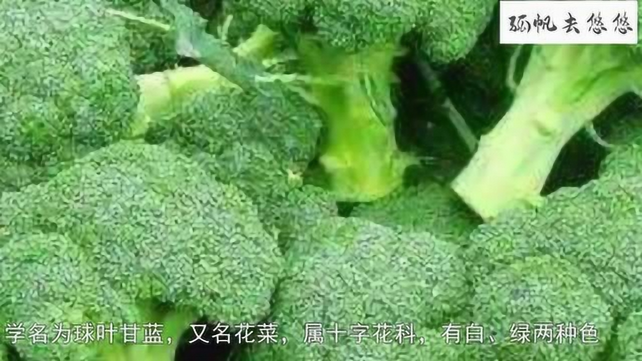 西蓝花 十字花科芸苔属植物 搜狗百科