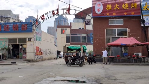 青山区锦苑花卉市 腾讯视频