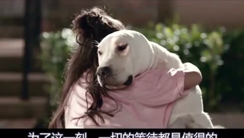 小狗奶瓶 腾讯视频