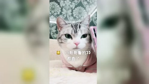 猫化妆 腾讯视频