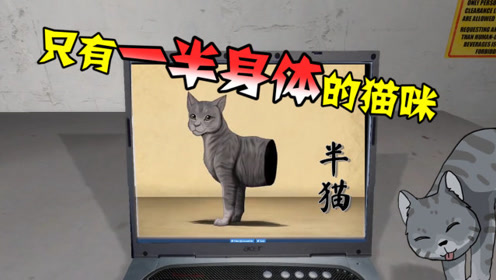 5角猫 腾讯视频