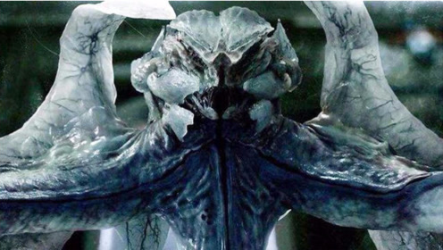 这种来自土星的外星生物比异形还厉害,智商超高,人类束手无策