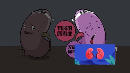保肾六虫汤专治尿毒症肾衰竭肾积水肾囊肿肾小球肾炎#今日必吃的瓜