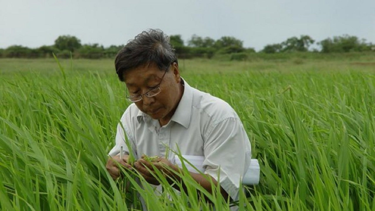 不计报酬,坚定不移!77岁中国老人林占熺仍在忙碌工作