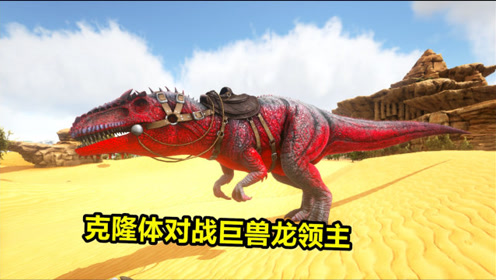 腾讯视频