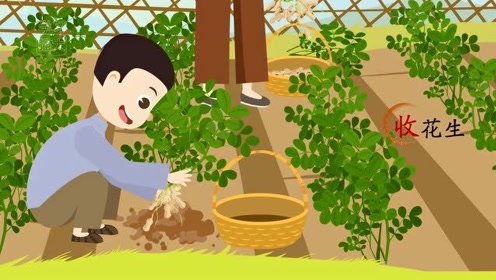 《落花生》人教版语文五年级上册同步复习课