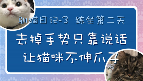 猫男子不良喵高校 腾讯视频