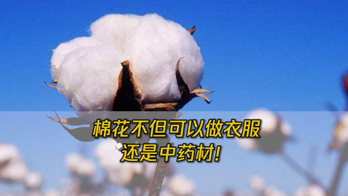 腾讯视频