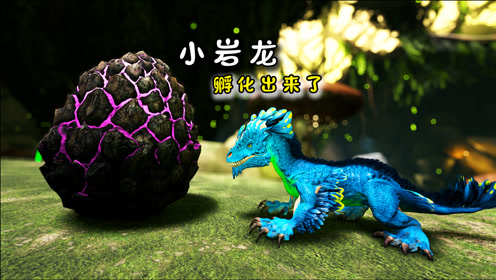 方舟210畸变:小岩龙终于孵化出来了,刚出生走路就很霸气!