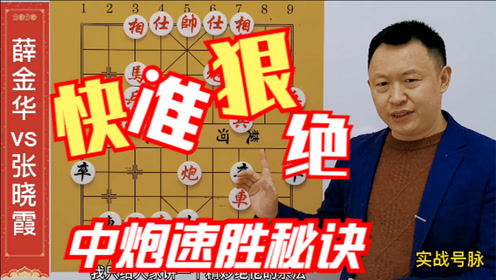 步步精准,凶狠妙绝,堪比梅花谱时 间:2021-04-29上传者:象棋徐教头简