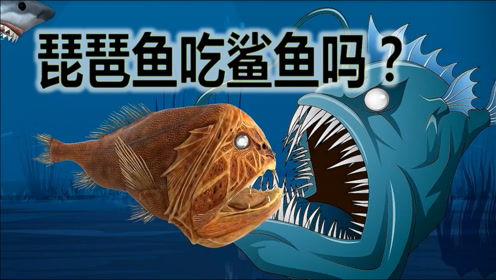 无底洞深海水怪 腾讯视频