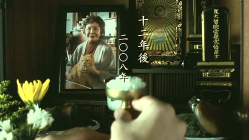 腾讯视频