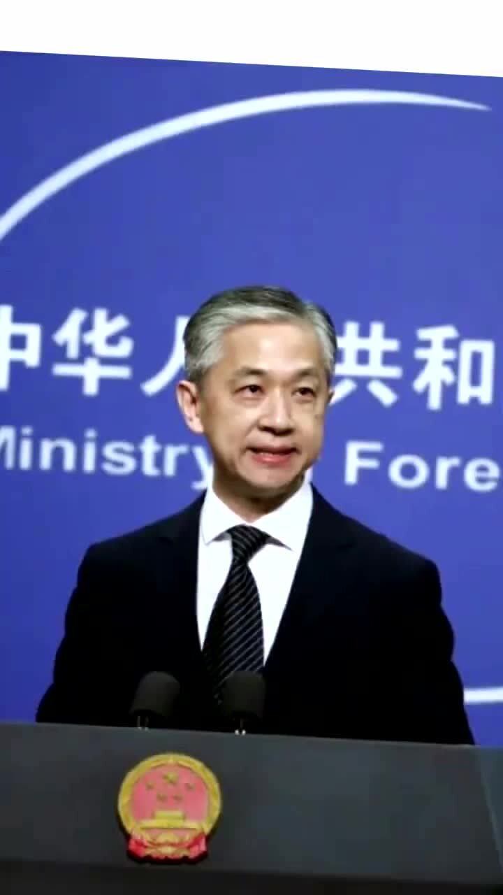 "汪司—我心中的白月光"