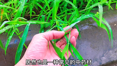 腾讯视频