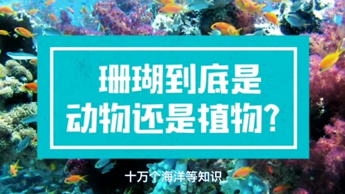 腾讯视频