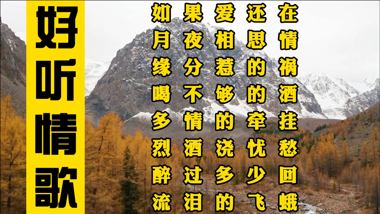 《如果爱还在》《月夜相思情》《缘分惹的祸》《多情的牵挂》