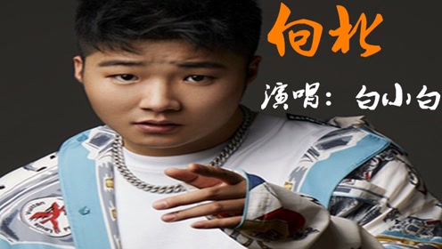 白小白《向北》过往化成灰落进了眼睛就变成泪