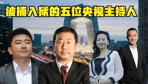 5位前央视主持人被捕入狱,成蕾藏匿央视多年,邱启明让人惋惜
