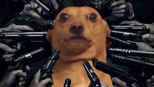 《疾速追杀1》爱犬被杀,退休杀手怒灭黑帮,要你还我狗命