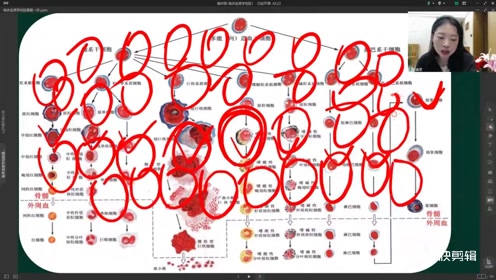 [图]这个重要的血液图，第2部分来了——医学检验讲师（成美恩）