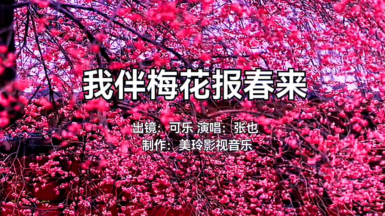 张也《我伴梅花报春来》,歌声甜润,美极啦!