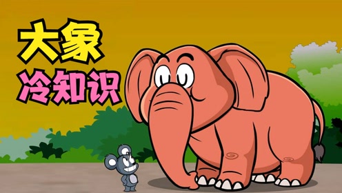 【唐唐】涨知识!大象篇
