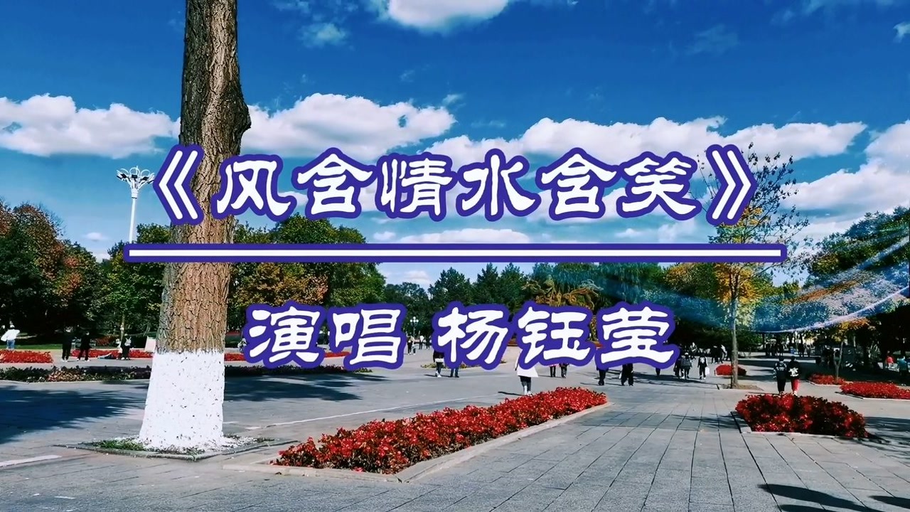 杨钰莹《风含情水含笑》