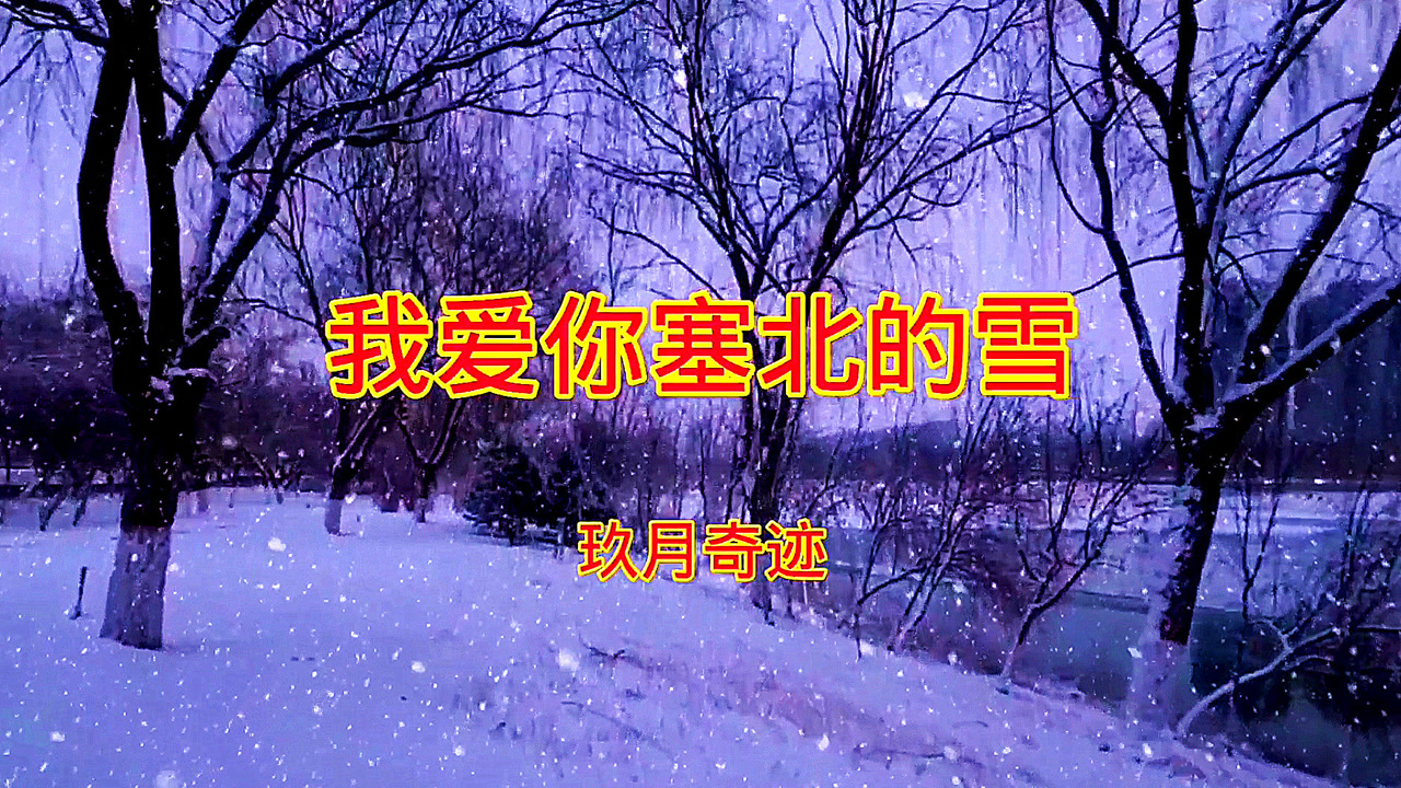 小雪一曲萨克斯我爱你塞北的雪漫天飞舞的雪花祝您安康