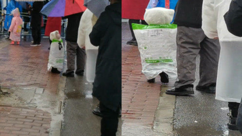 萌娃雨中排队做核酸身上的奇葩雨衣令人笑喷正宗的麻袋装小孩