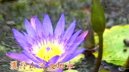 腾讯视频