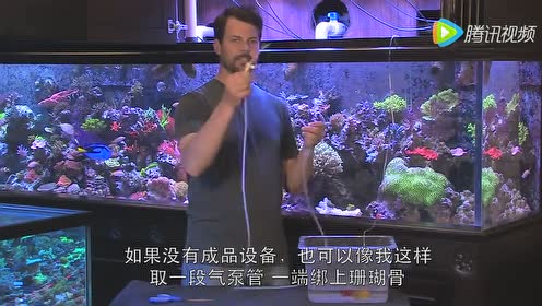 海水鱼海水珊瑚 腾讯视频