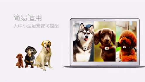 宠物定位器gps 腾讯视频