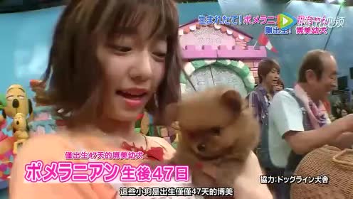志村动物园w 腾讯视频