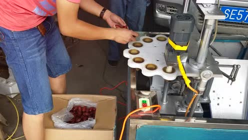 (骏枣,灰枣,若羌红枣)去核机 切圈机-沧州万顷机械