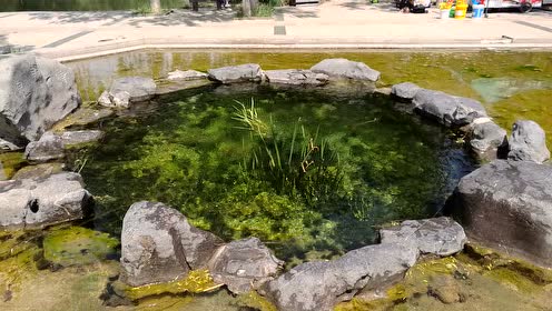 济南章丘净明泉