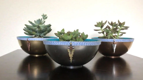 Diy多肉植物 腾讯视频