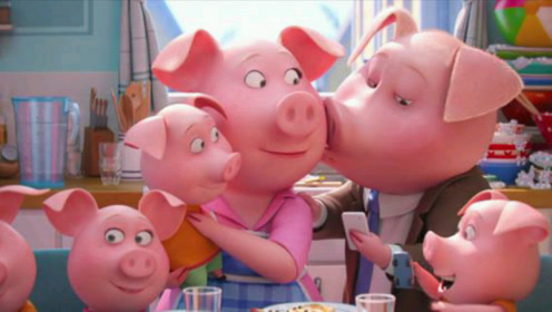 猪妈妈喂奶猪宝宝,甜蜜的爱