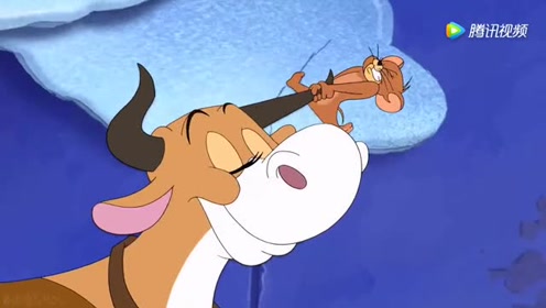 猫和老鼠:汤姆为了救一只牛,谁知道它经历了什么