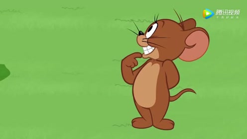 杰瑞笑成这样,心疼汤姆一分钟!